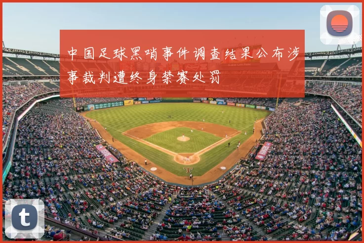 中国足球黑哨事件调查结果公布涉事裁判遭终身禁赛处罚