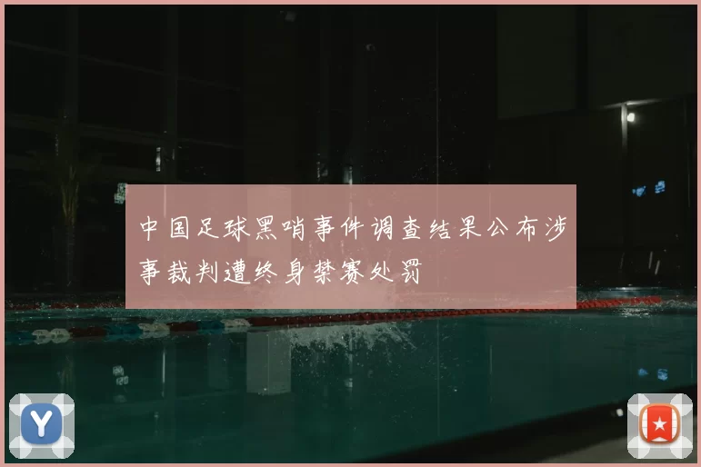 中国足球黑哨事件调查结果公布涉事裁判遭终身禁赛处罚