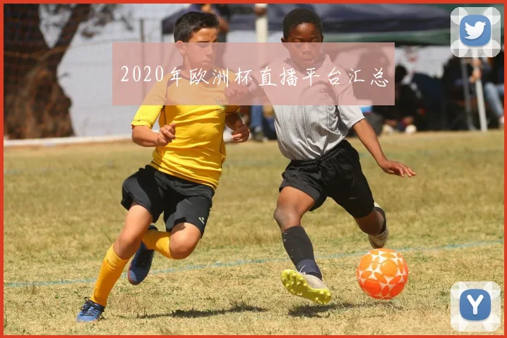 2020年欧洲杯直播平台汇总