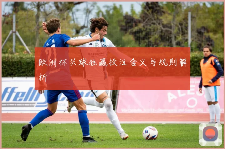 欧洲杯买球独赢投注含义与规则解析